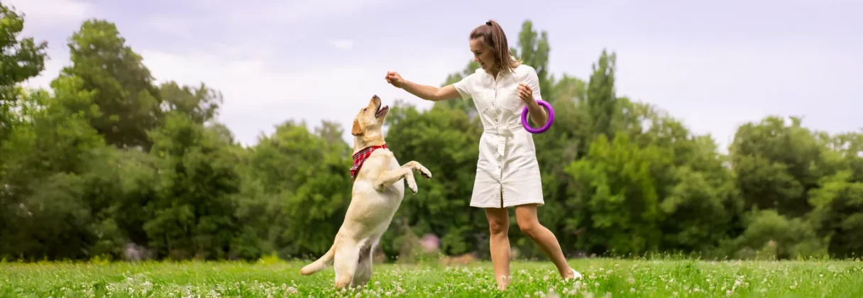 Building a Daily Routine for Your Dog’s Wellbeing | Godrej Ninja